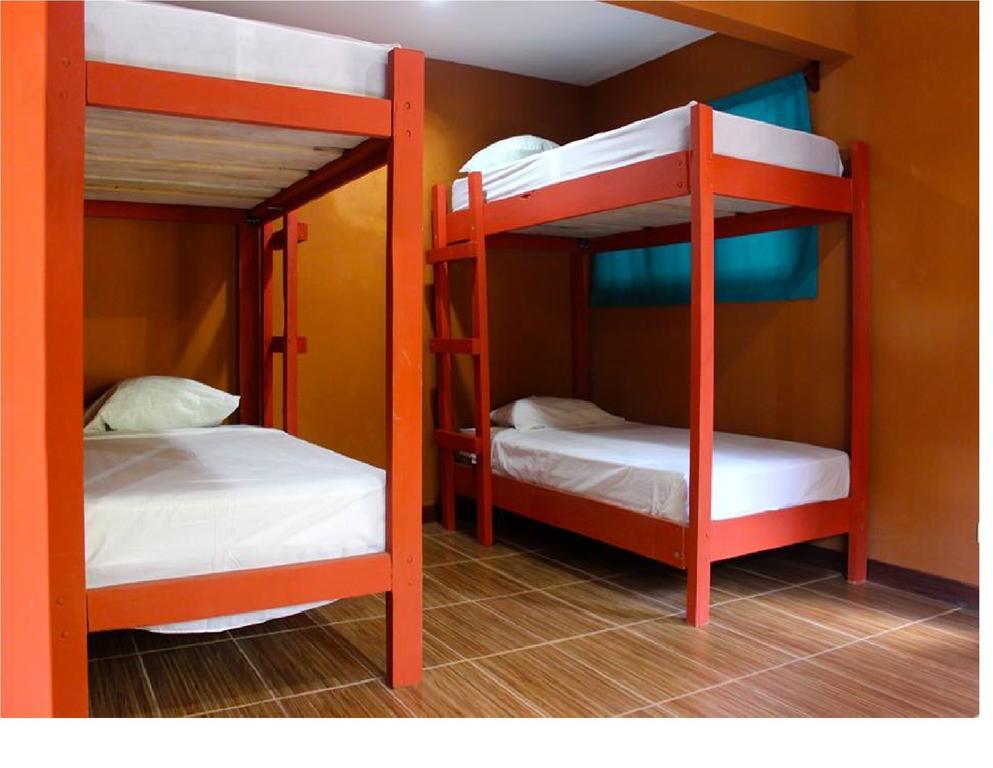 Coral Reef Surf Hostel And Camp Tamarindo Cameră foto
